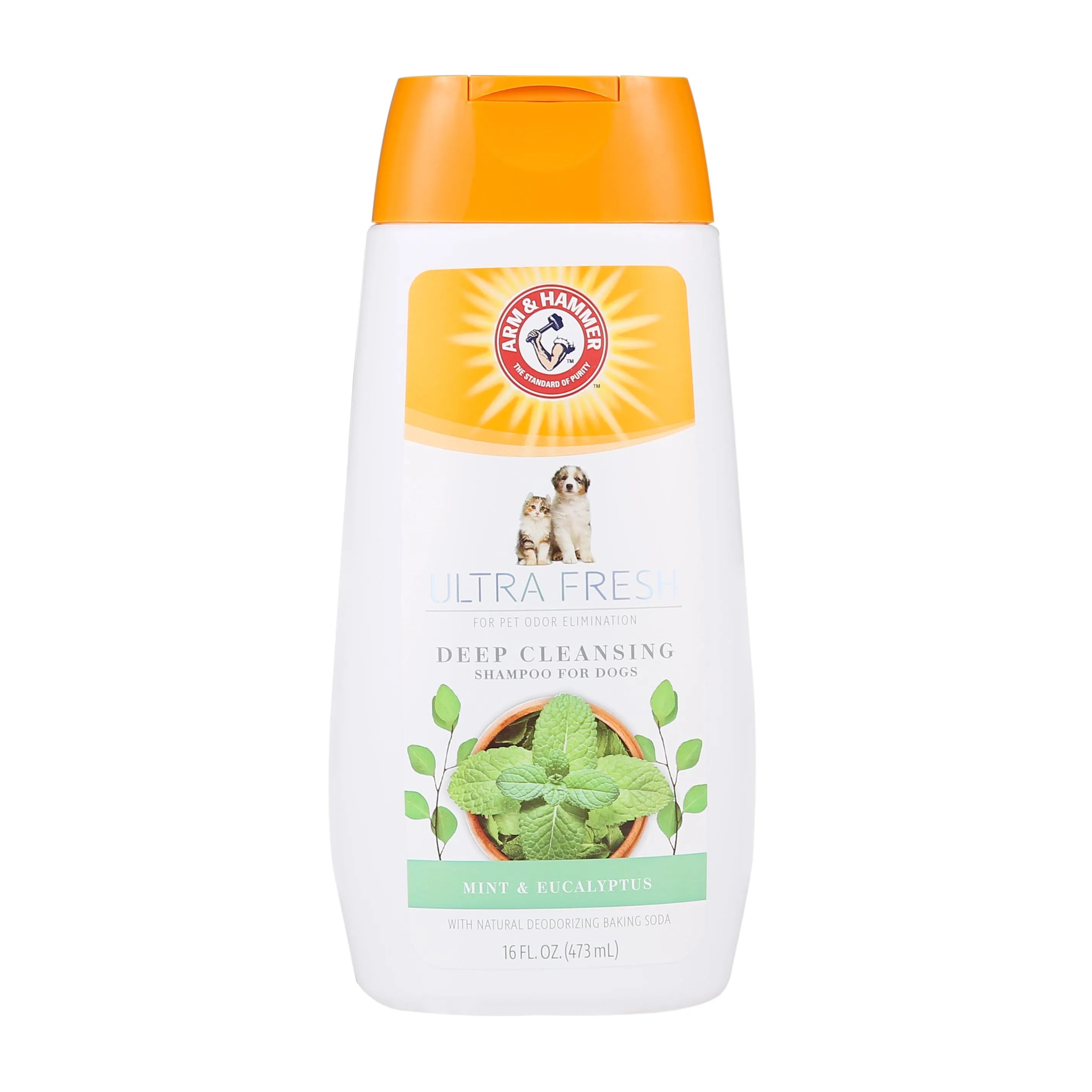 Arm and Hammer Ultra Fresh Deep Cleansing Shampoo with Charcoal & Rosemary