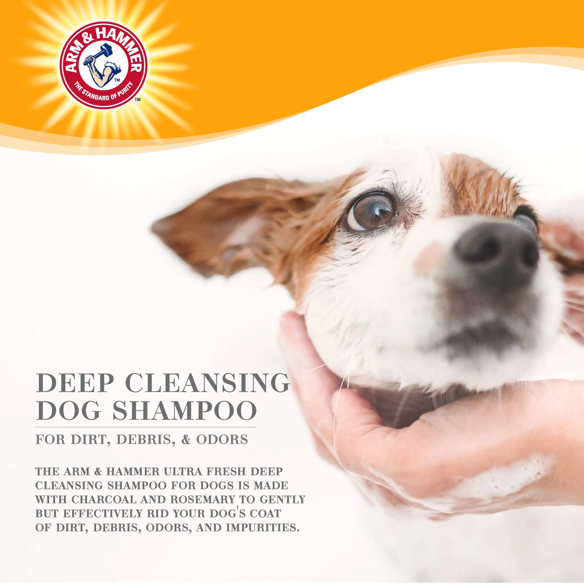 Arm and Hammer Ultra Fresh Deep Cleansing Shampoo with Charcoal & Rosemary