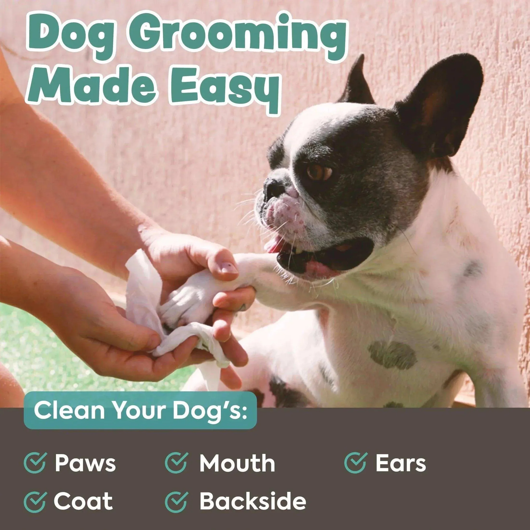 Bark & Clean Pup Dry Wipes