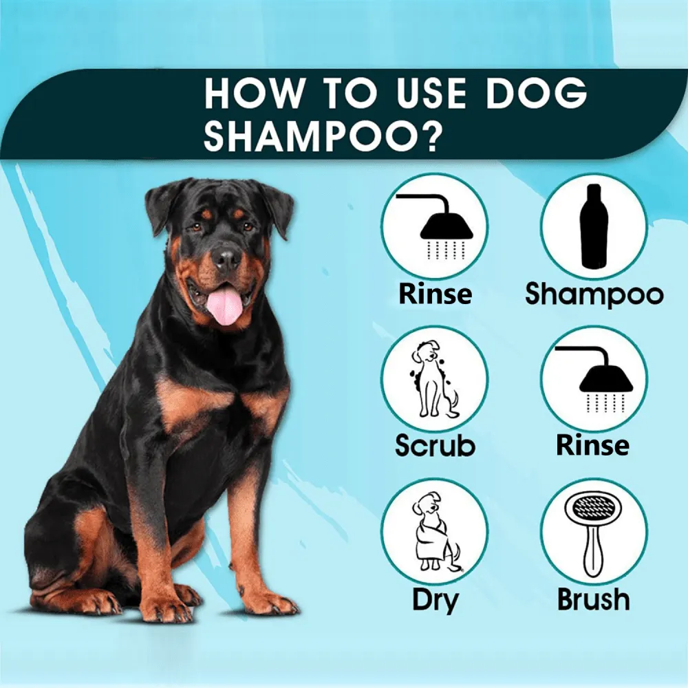 Basil Oat & Aloe Moisturising Shampoo for Dogs and Cats