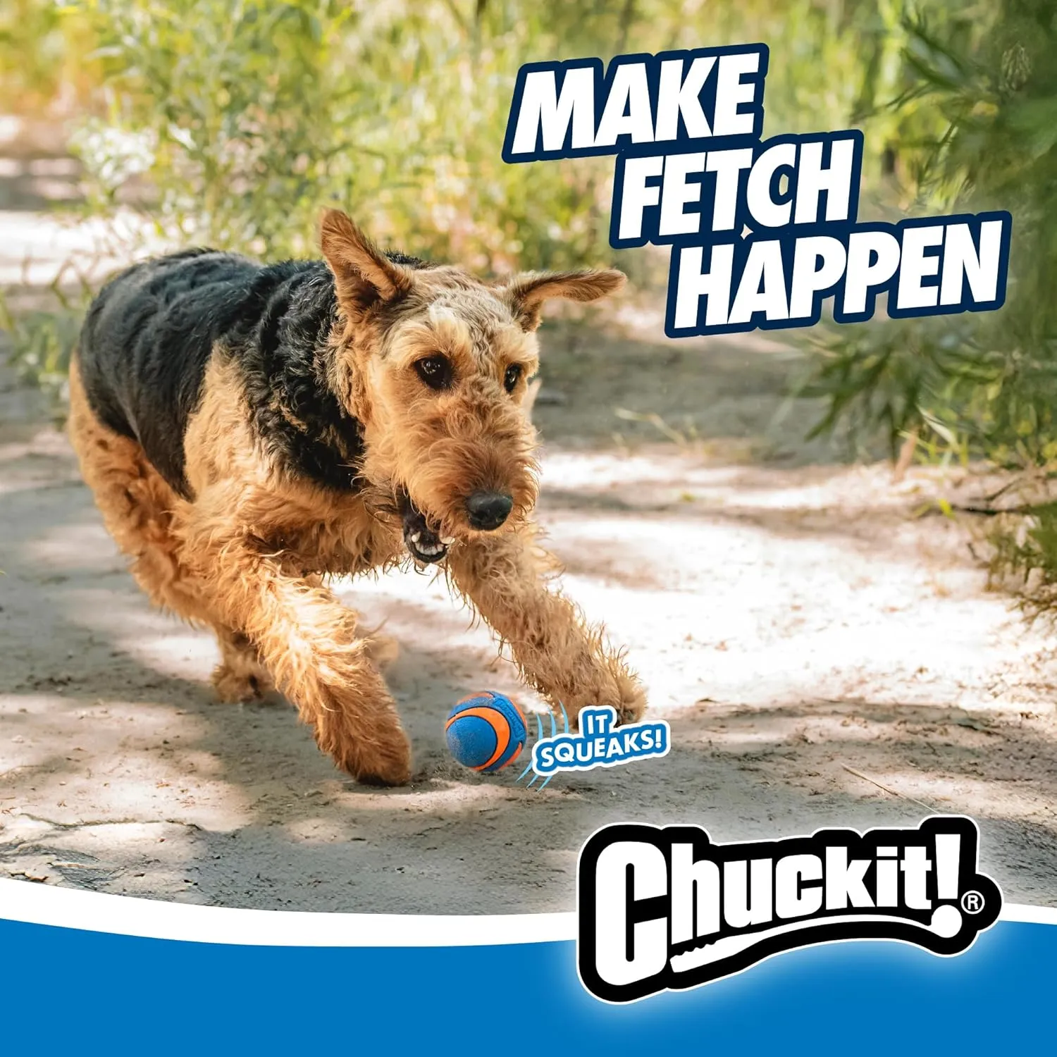 Chuckit! Rubber Ultra Squeaker Balls - 2 pack