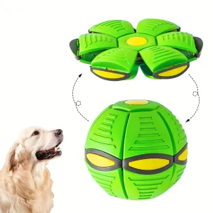 Frisbee pet ball