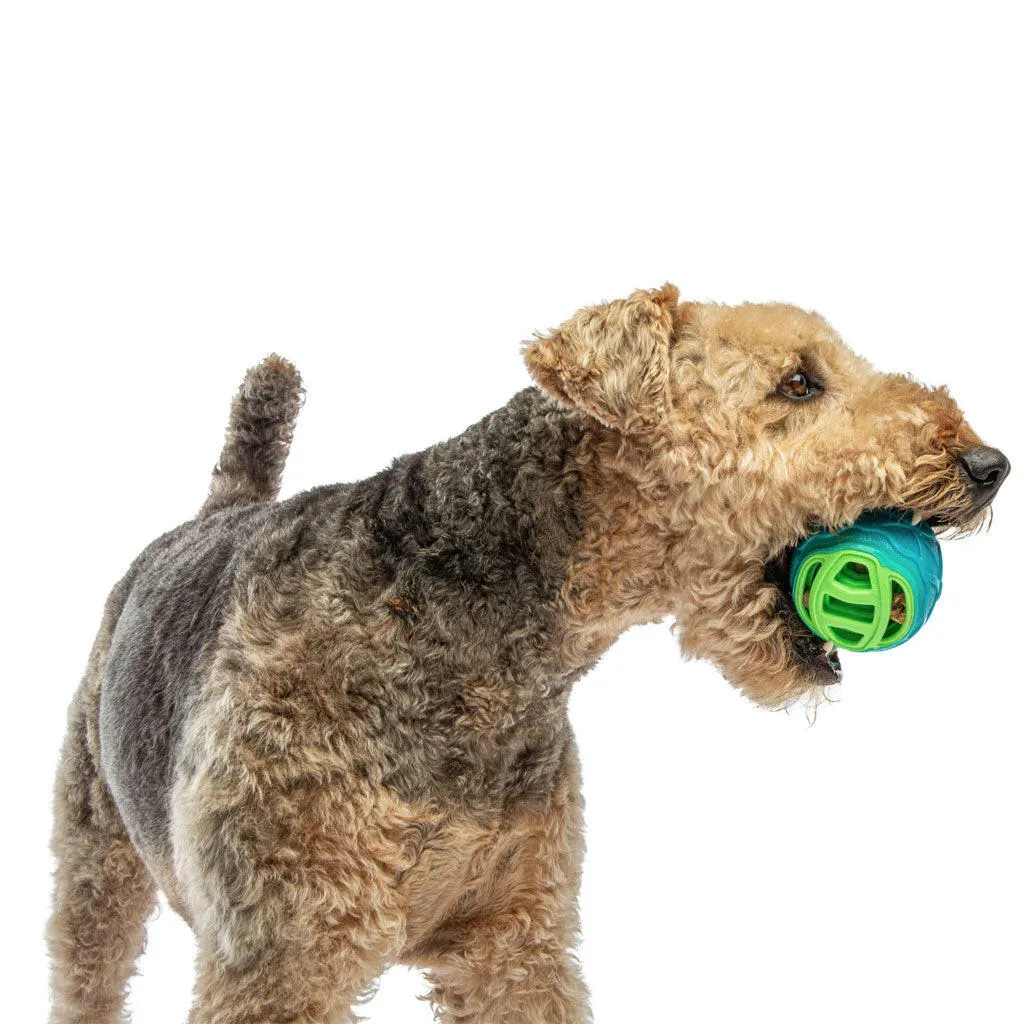 GURU Pocket Ball Dog Toy, Medium