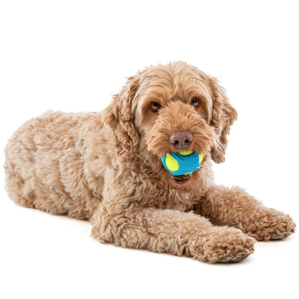GURU Tennis Max Ball Dog Toy, Medium