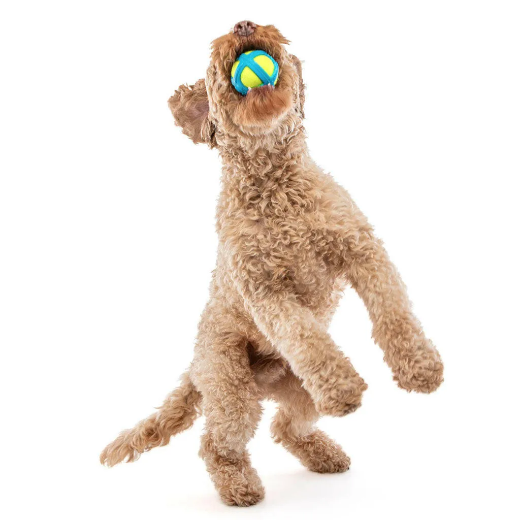 GURU Tennis Max Ball Dog Toy, Medium