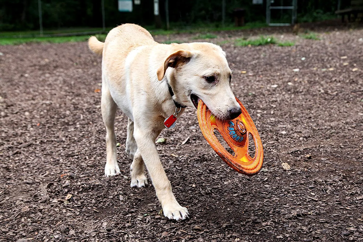 Hartz Tuff Stuff Toss Around Plush Frisbee Flyer Dog Toy - Medium/Large