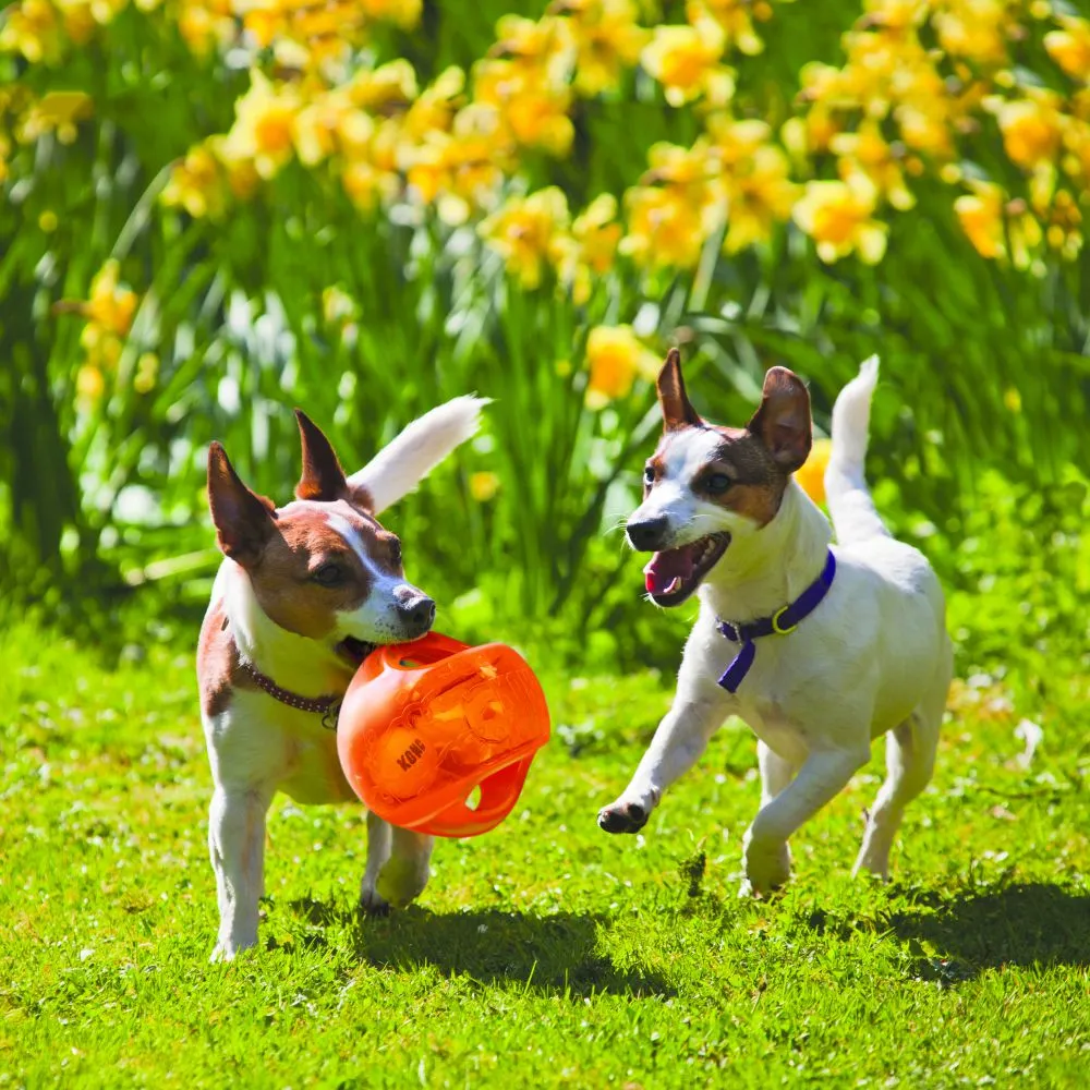 Jumbler Ball Dog Toy
