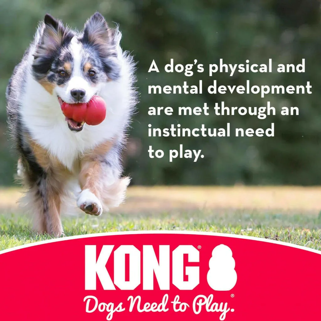Kong Ball Fetch Toy For Dogs