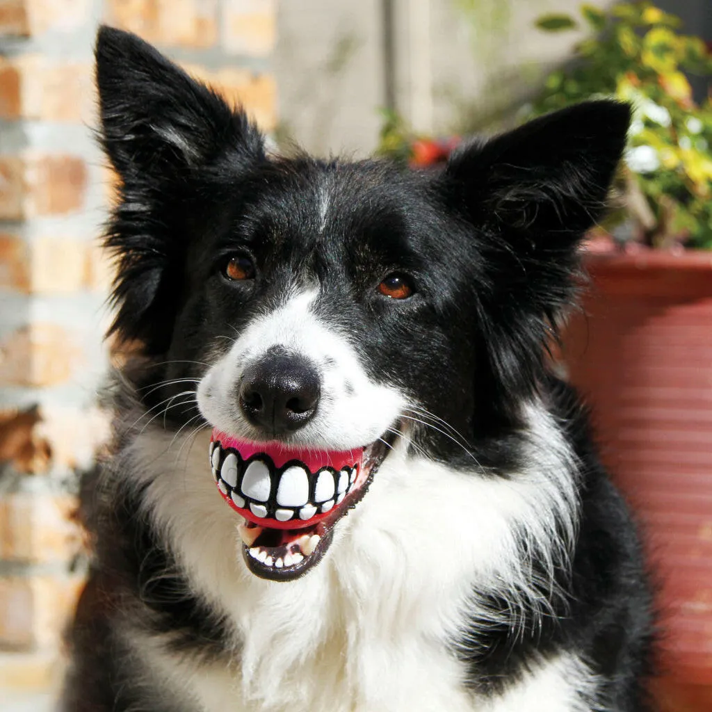 Kong Grinz by Rogz Ball Toy For Dogs (color varies)