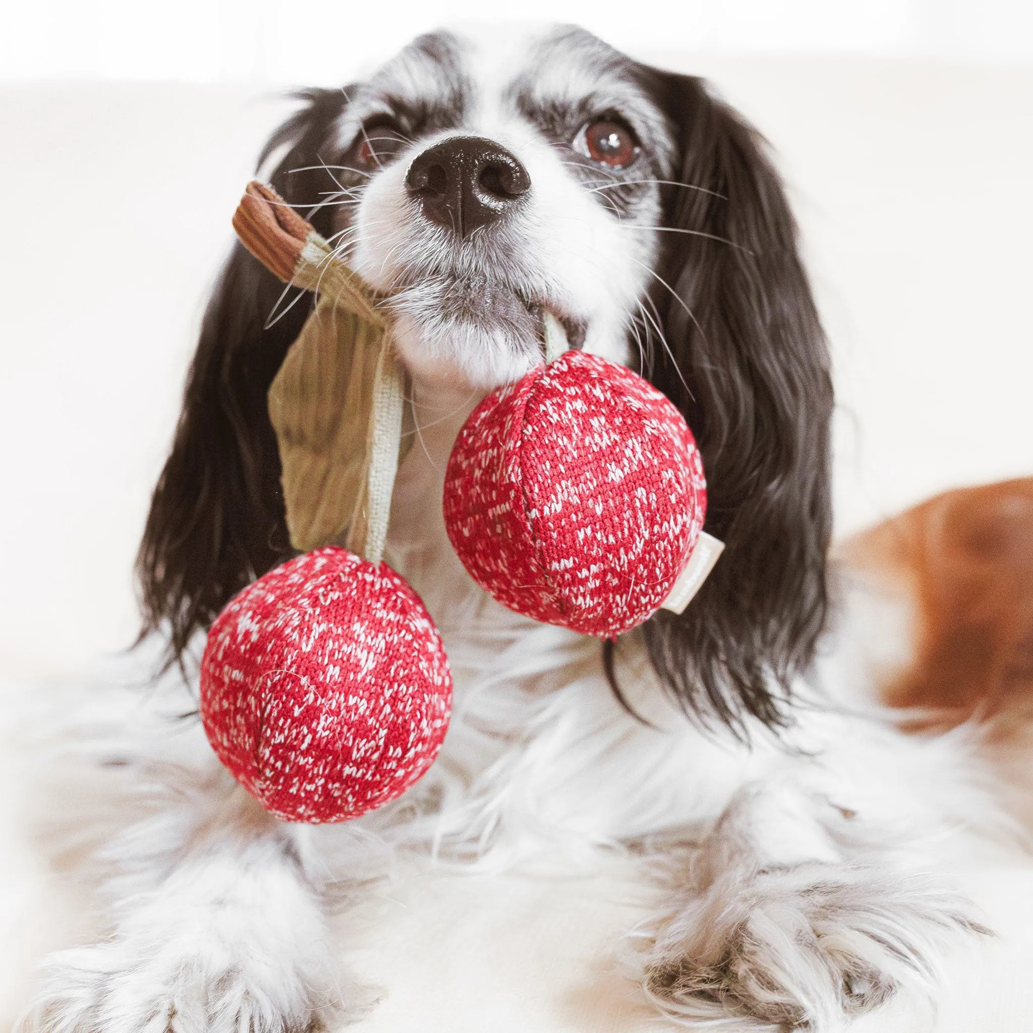 Lambwolf Cherry Pops Dog Toys - Red