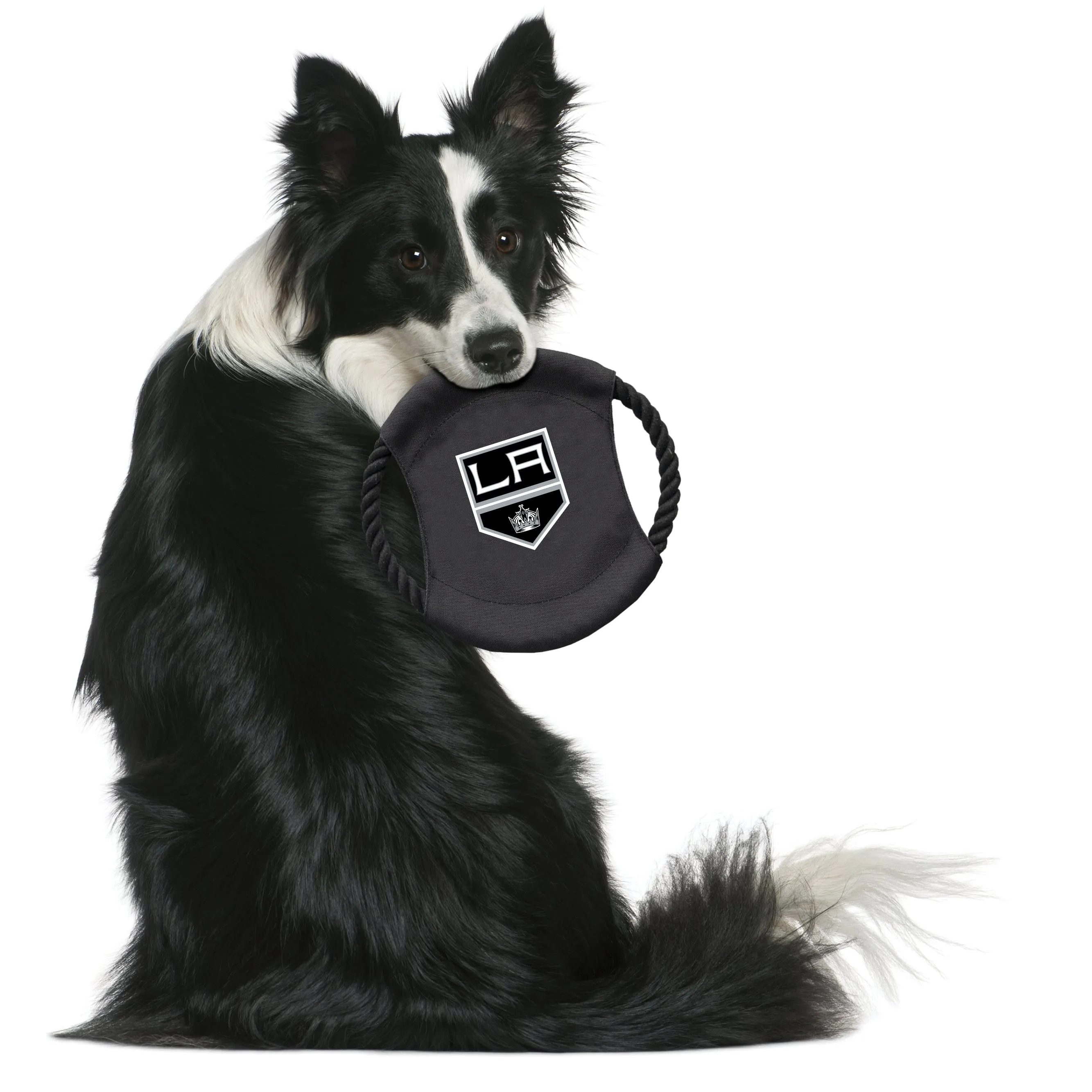 Los Angeles Kings Team Flying Disc Pet Toy