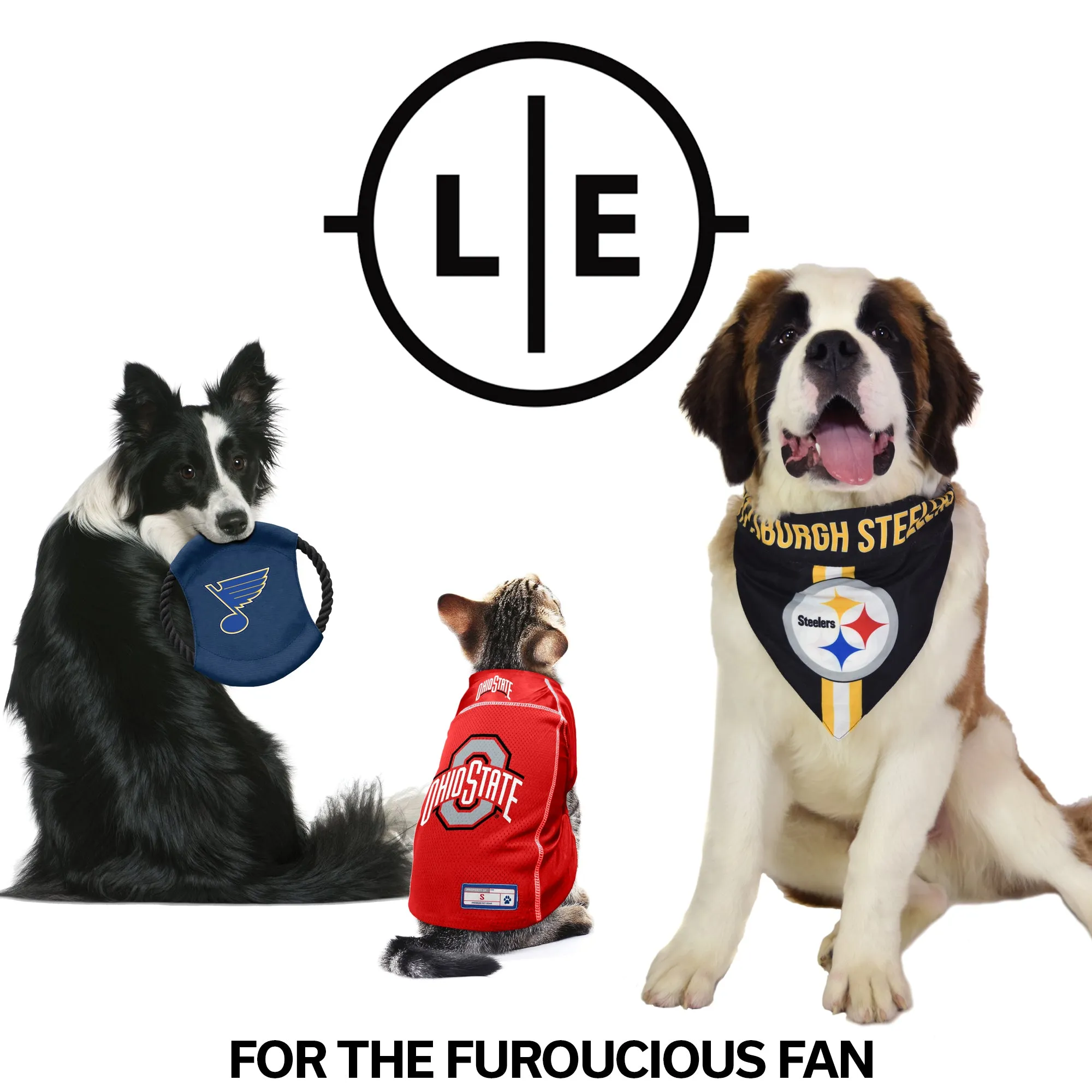Los Angeles Kings Team Flying Disc Pet Toy