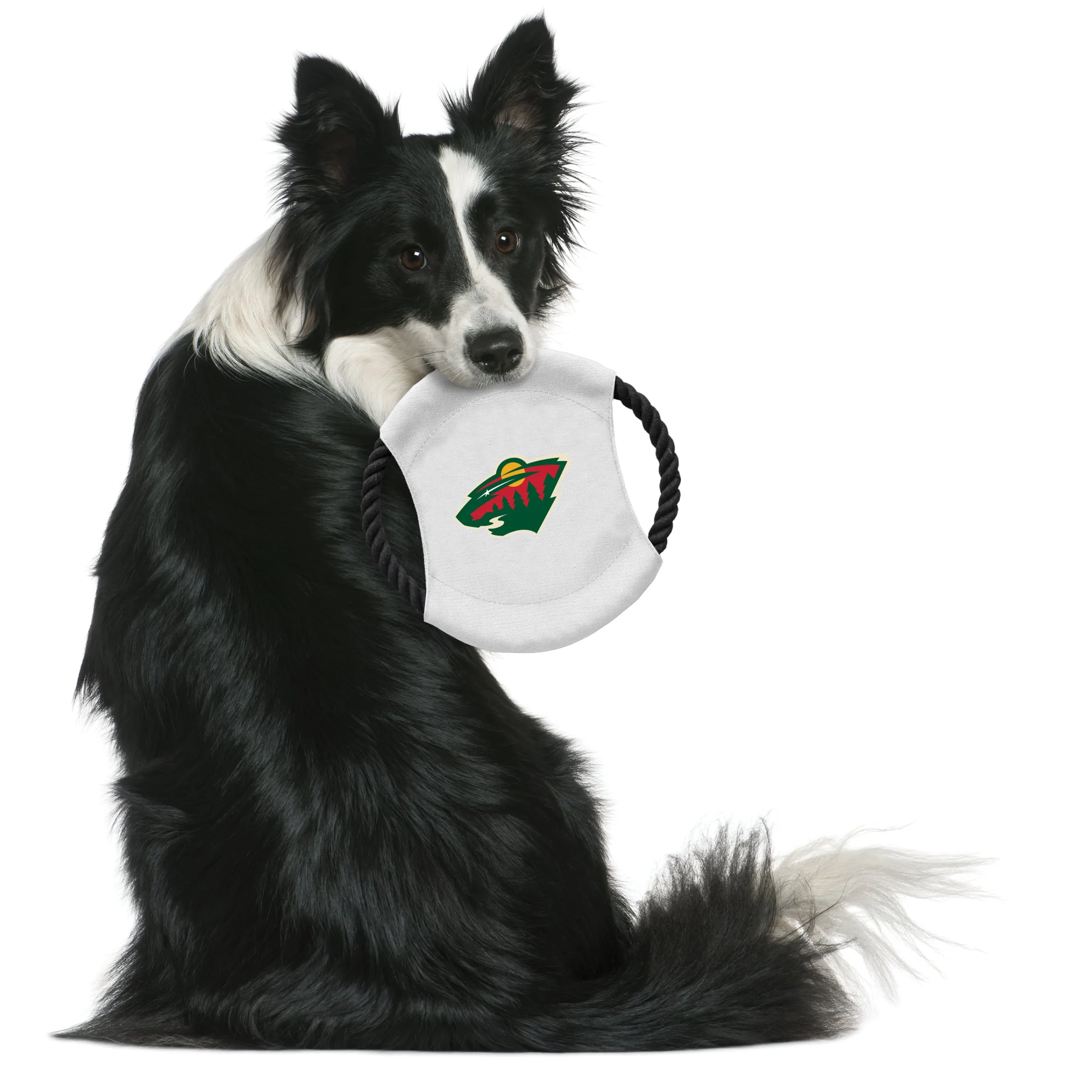 Minnesota Wild Team Flying Disc Pet Toy