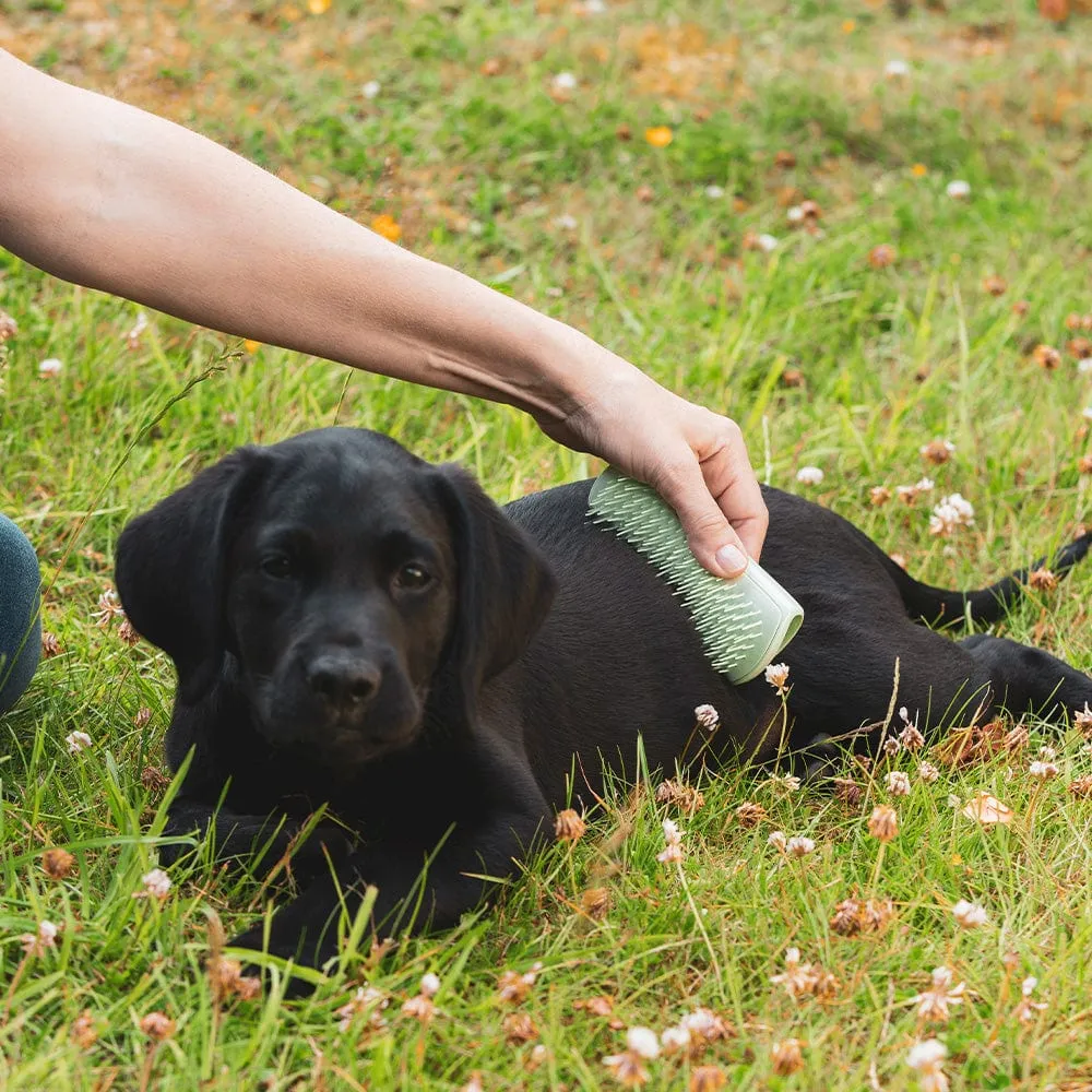 Puppy brush by Pet Teezer