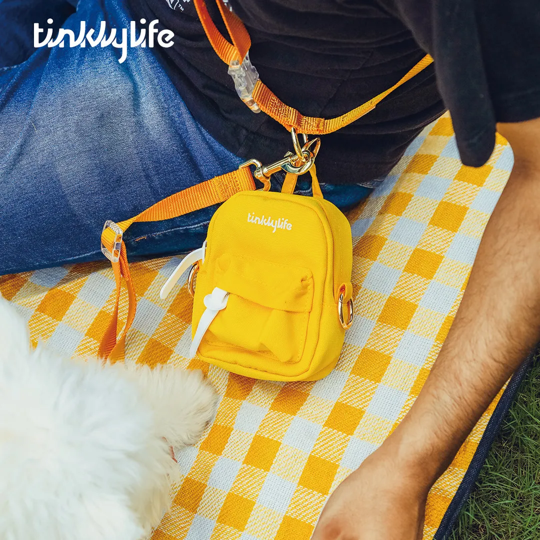 Rainbow Hands Free Mini Dog Backpack Kit