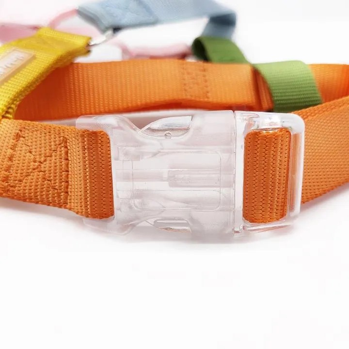 Rainbow Hands Free Mini Dog Backpack Kit