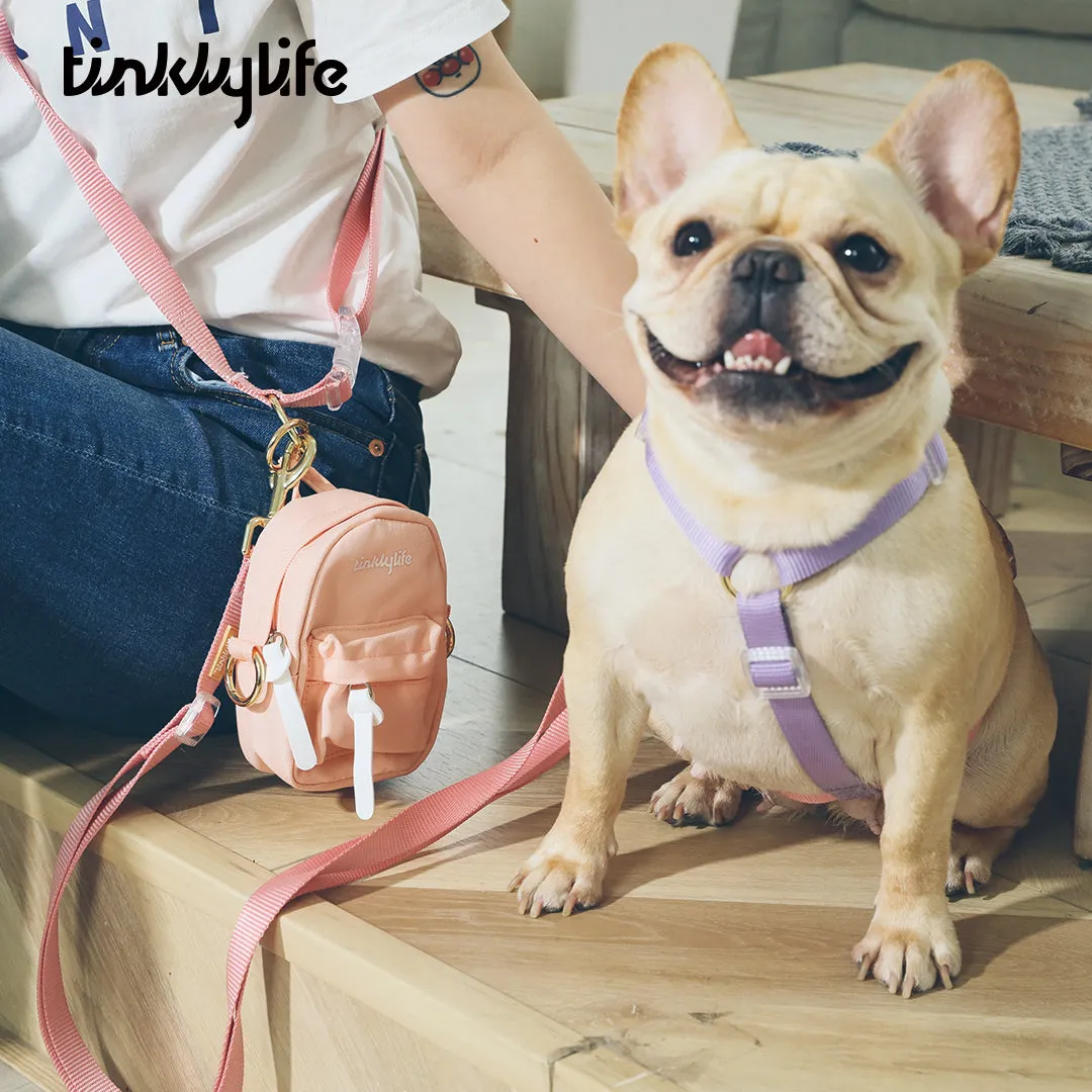 Rainbow Hands Free Mini Dog Backpack Kit