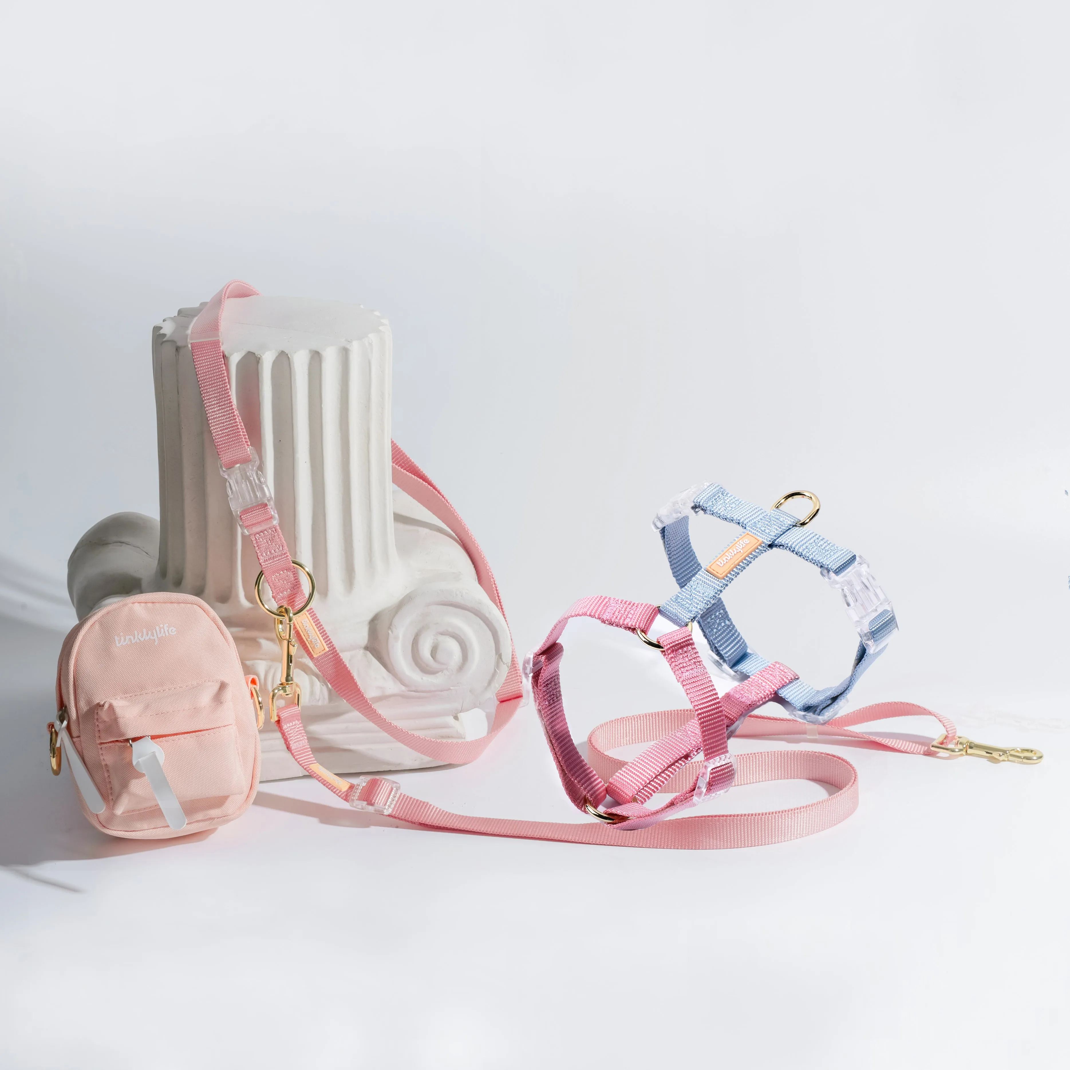 Rainbow Hands Free Mini Dog Backpack Kit