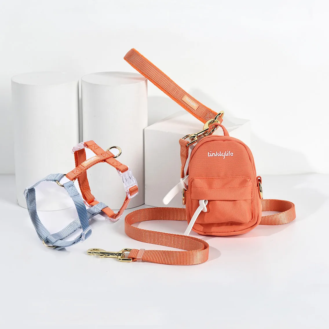 Rainbow Hands Free Mini Dog Backpack Kit