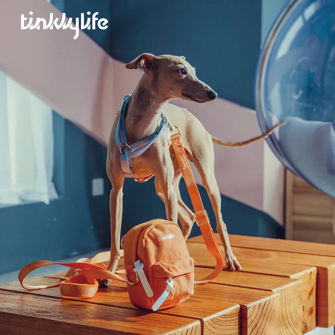 Rainbow Hands Free Mini Dog Backpack Kit