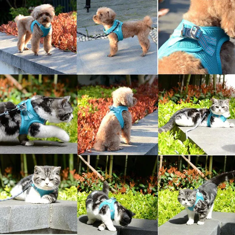 Small and medium-sized dogs, cats leash vest type pet chest harness