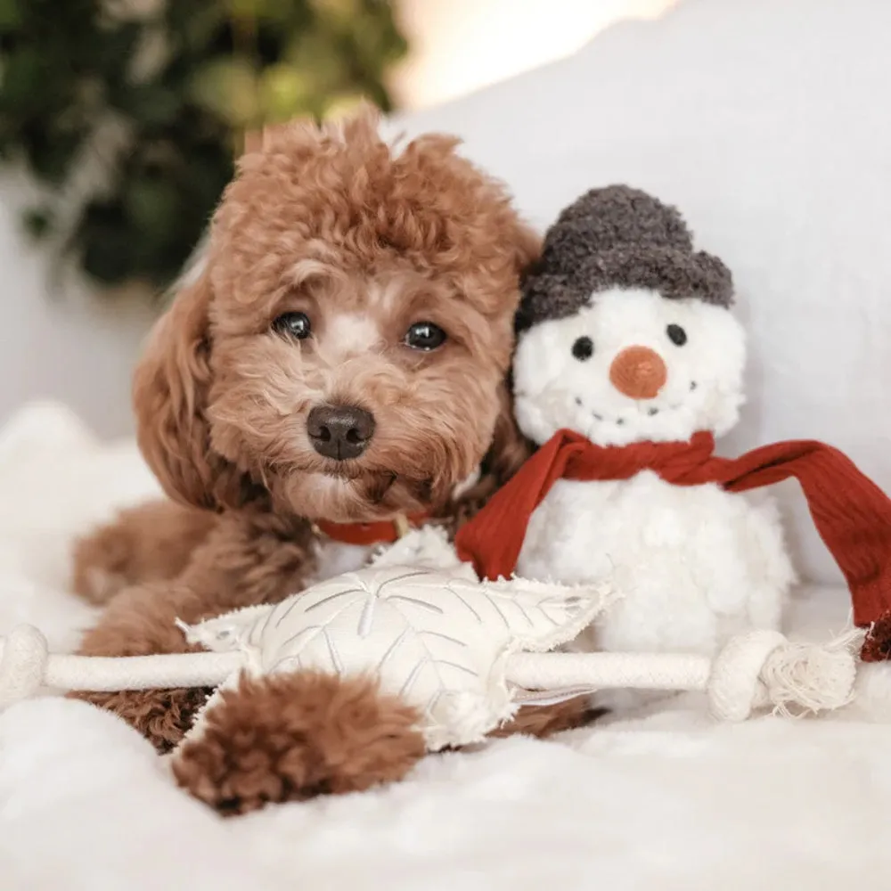 Snowman Dog Toy
