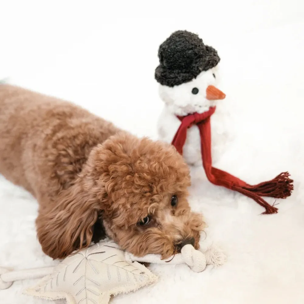 Snowman Dog Toy