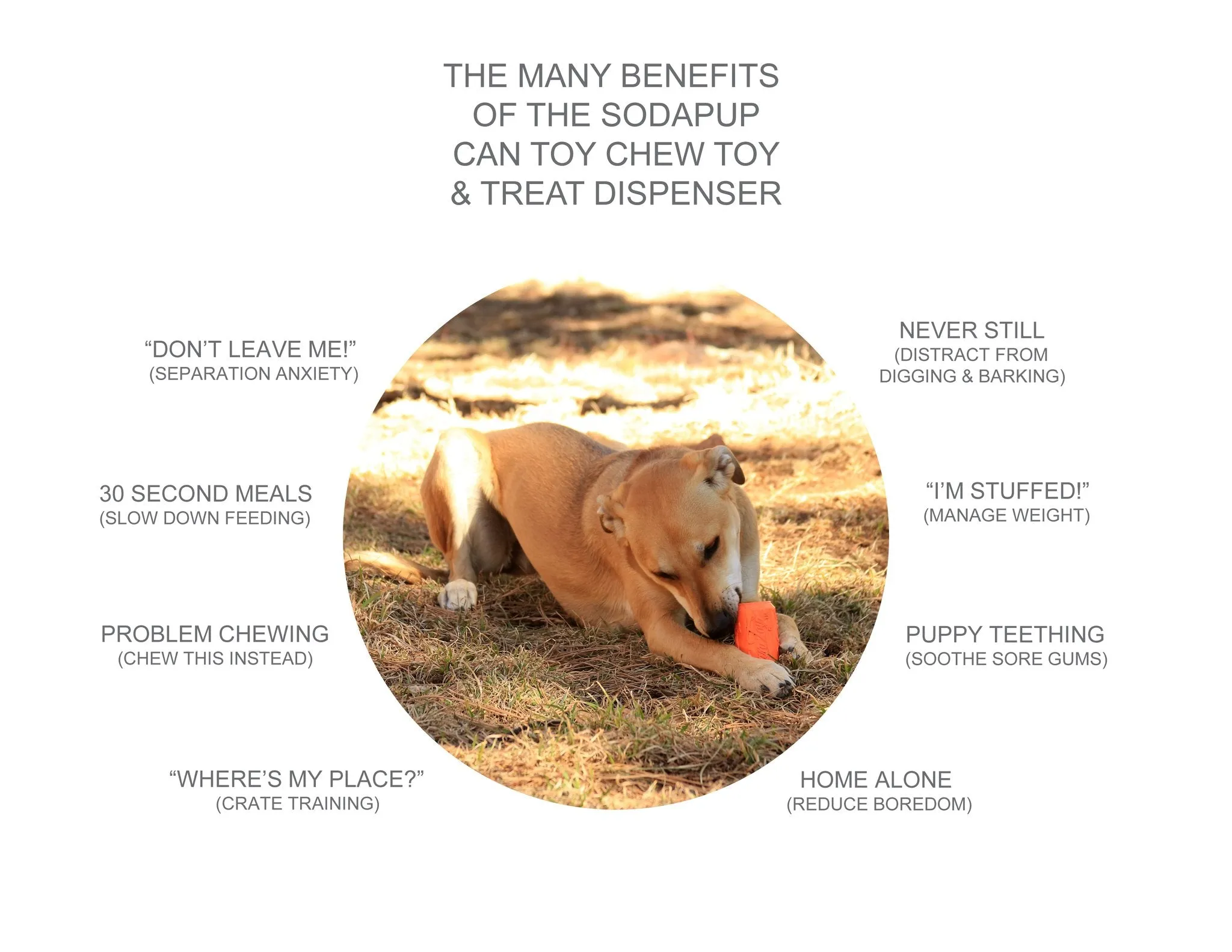 Soda Can Rubber Dog Enrichment Toy  - Various Sizes