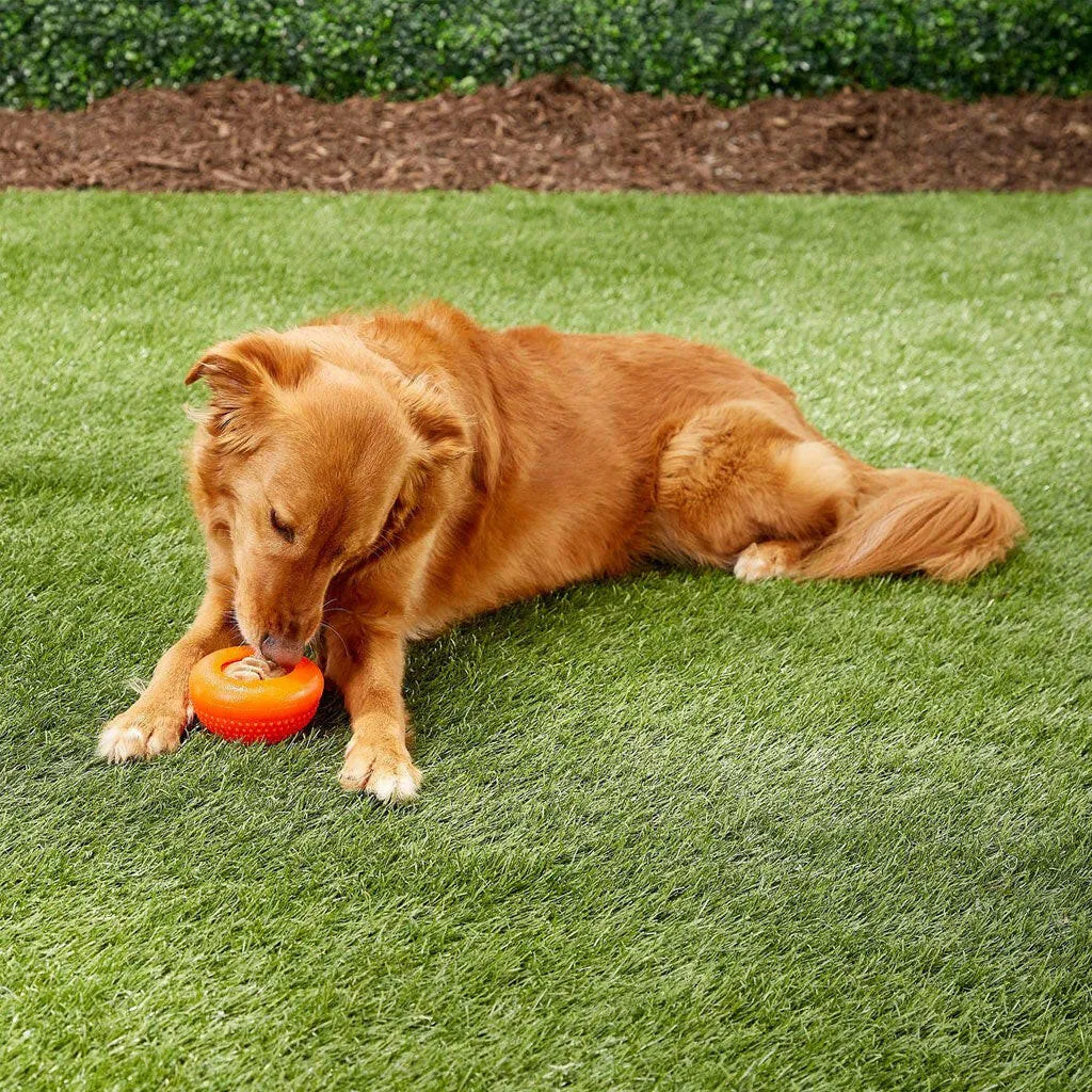 Starmark Everlasting Bento Ball Dog Toy