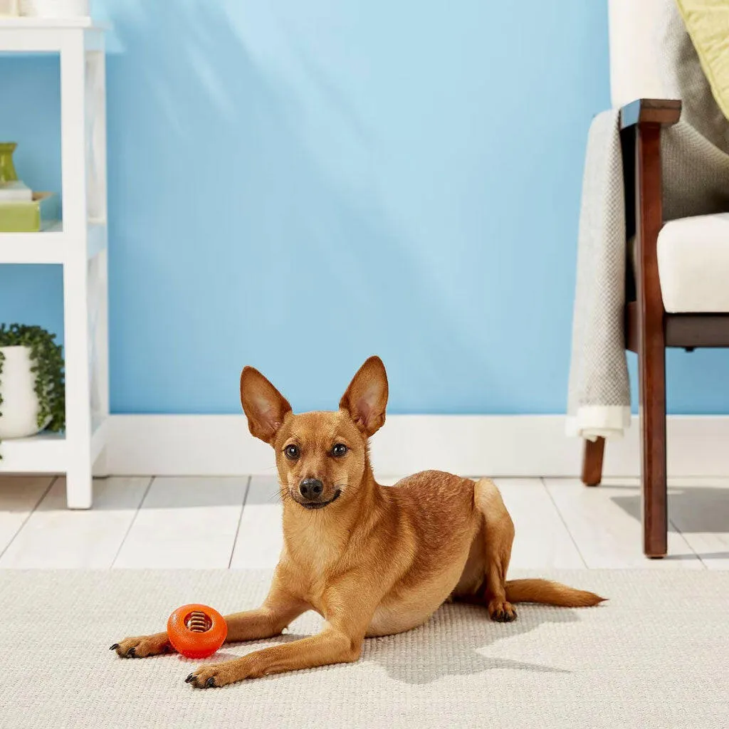 Starmark Everlasting Bento Ball Dog Toy