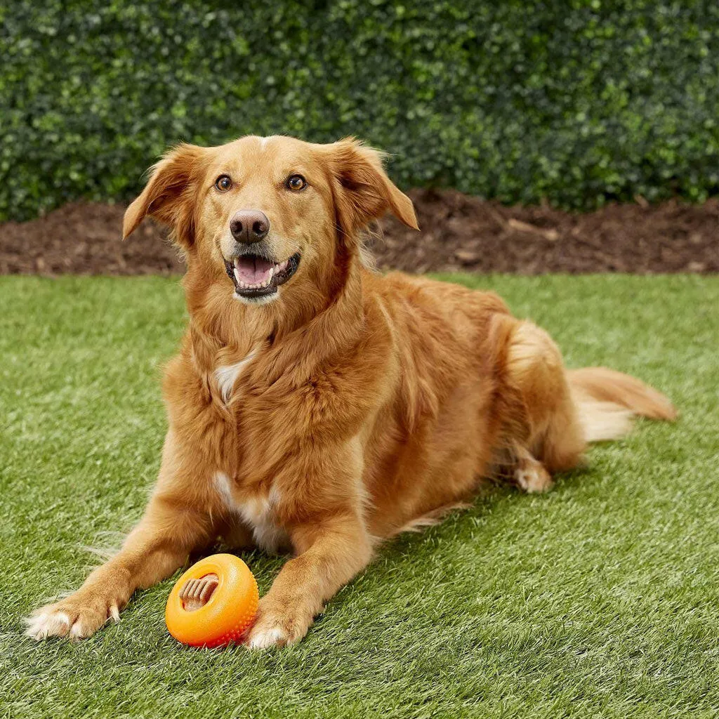 Starmark Everlasting Bento Ball Dog Toy