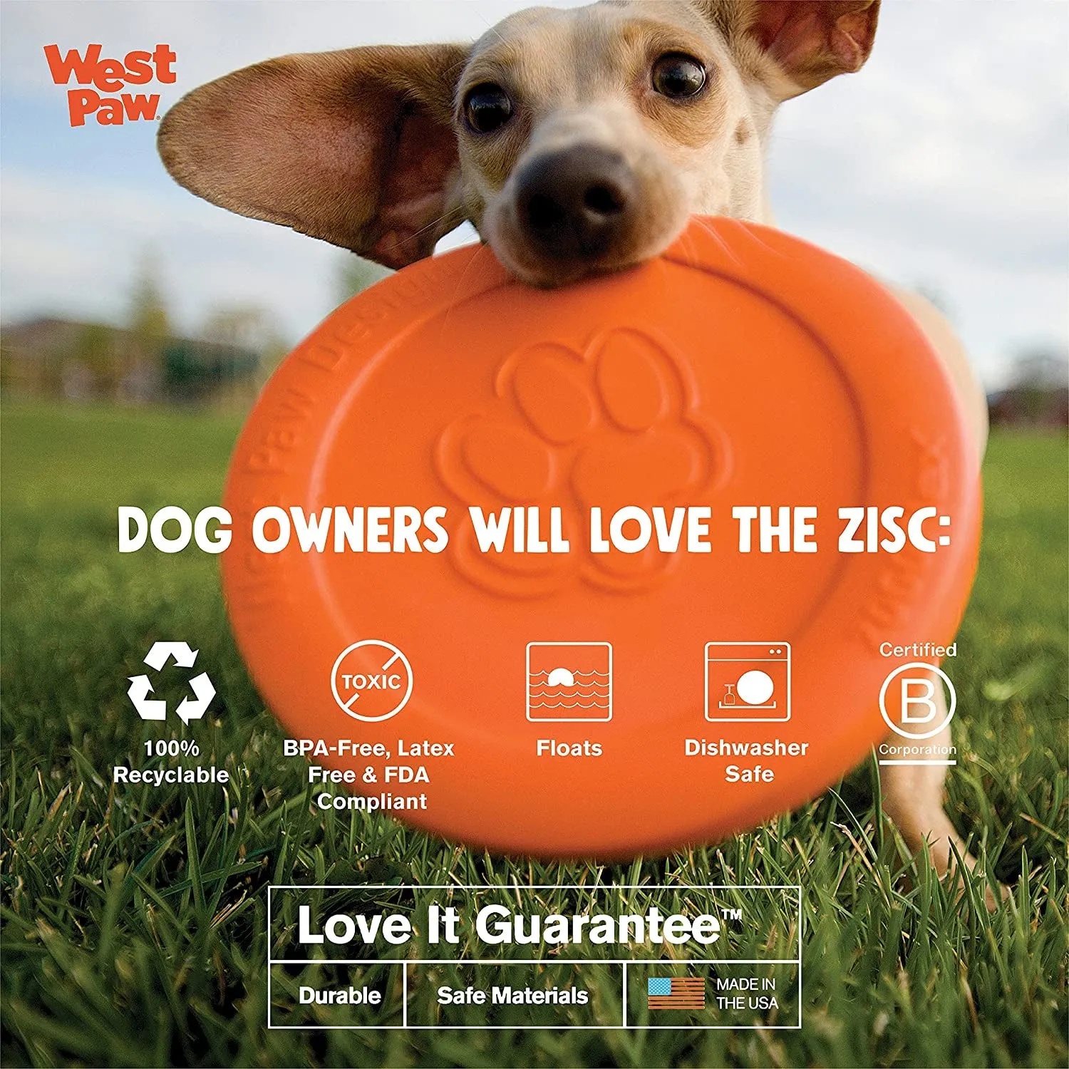 Zogoflex Zisc Dog Flying Disc